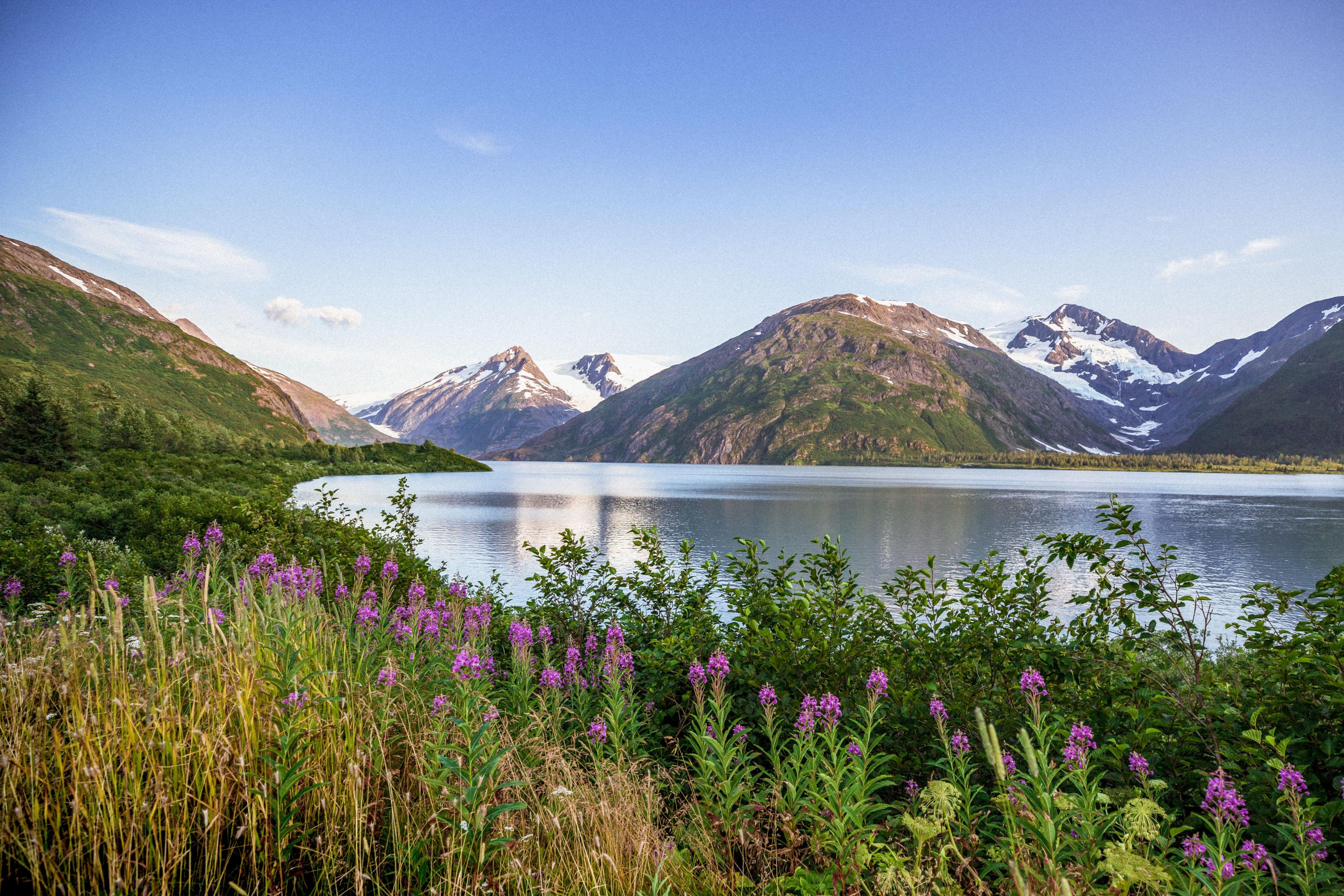 Image of Cruise from Seward (Anchorage, Alaska) to Vancouver