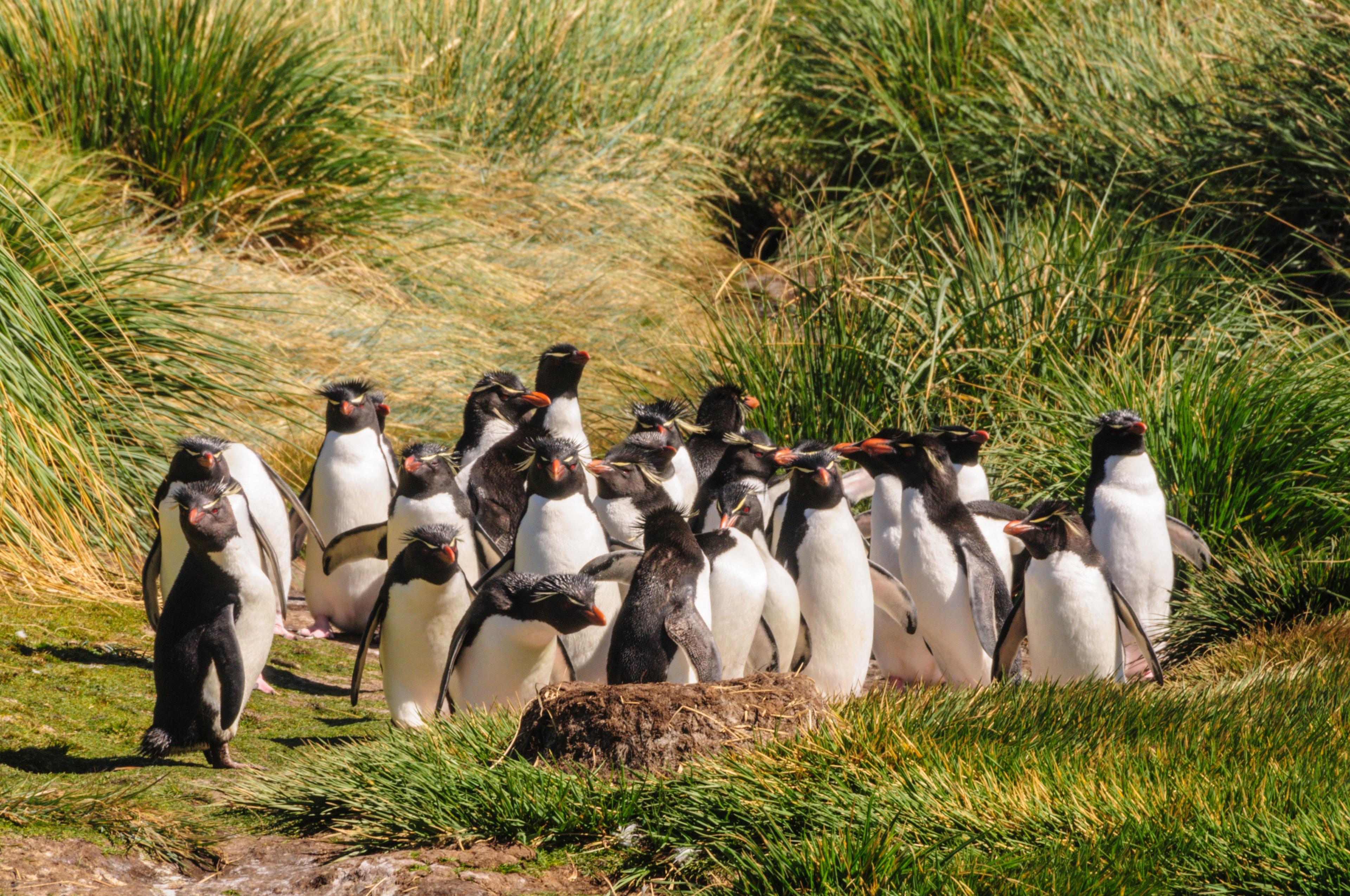 Image of Cruise from Valparaiso to Buenos Aires